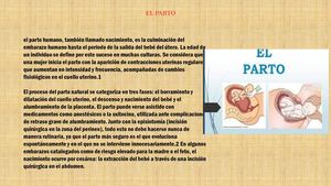 el parto
