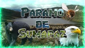 Paramo de sumapaz y Paramo las hermosas