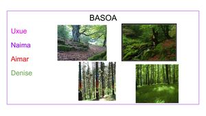 17-18 LH5B Basoa Ekosistema
