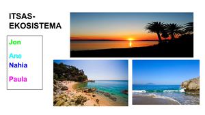 17-18 LH5B Itsasoa Ekosistema