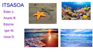 17-18 LH5A Itsasoa Ekosistema