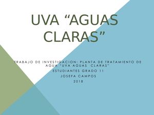 Uva Aguas Claras