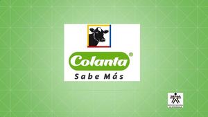 Proyecto 886589 Fortalecer Los Procesos Administrativos En La Organización