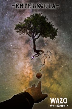 Wazo Magazine Nº19