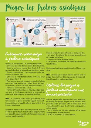 Tutoriel : fabriquer un piège à frelons