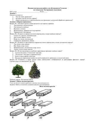 Kontrolnye Raboty Po Tehnologii Malchiki