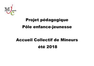 Projet Pédagogique été 2018