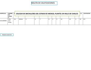 Boleta De Calificaciones 211 10