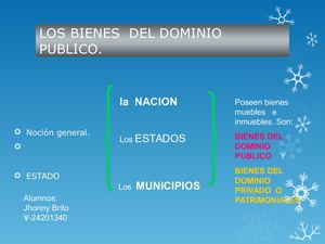 Bienes Del Dominio Público Actividad Administrativa