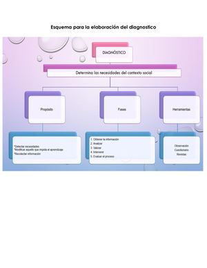 Esquema Para La Elaboración Del Diagnostico