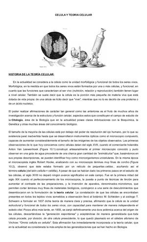 Celula Y Teoria Celular