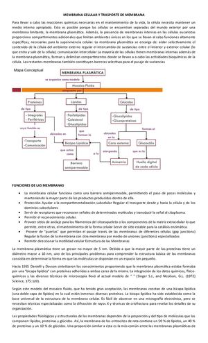 Membrana Celular Y Trasporte De Membrana