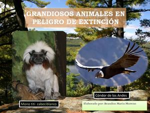 Revista De Animales En Vía De Extinción