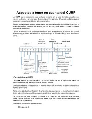 Aspectos A Tener En Cuenta Para Descargar La Curp