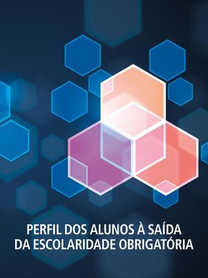 Perfil Dos Alunos2017