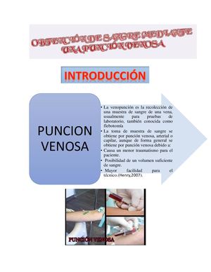 Extraccion Sanguinea