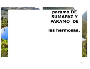 Paramo De Sumapaz Y Paramo Las Hermosas