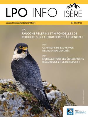 LPO Info Isere N°61