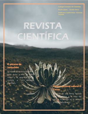 Revista