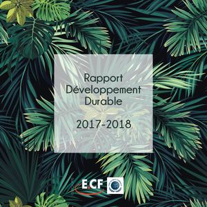 Rapport Developpement Durable E Cf 2017 2018