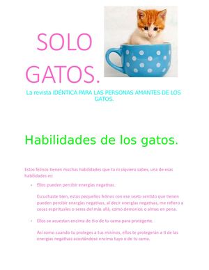 Revista Gatitos