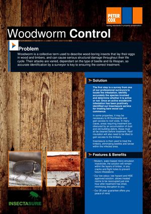 Woodworm Treatment Leaflet - Pdf