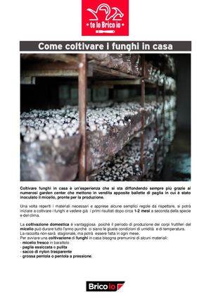 Coltivare I Funghi In Casa