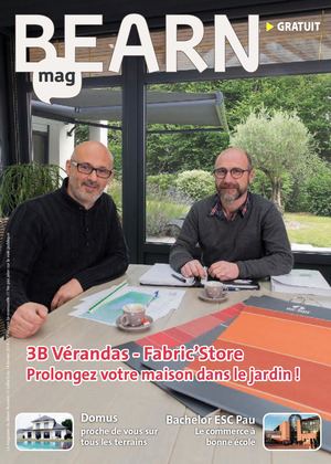 Bearn Mag N11