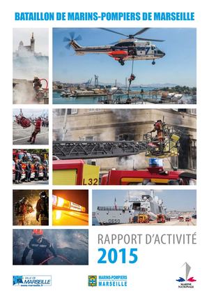 Rapport d'activité 2015 BMPM