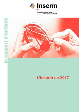 Rapport d'activité 2017