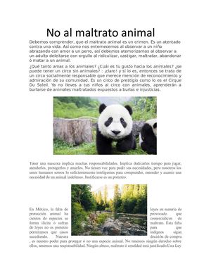 No Al Maltrato Animal Debemos Comprender