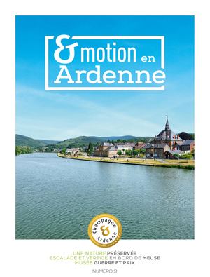 Crt Emotion 9 Ardenne F