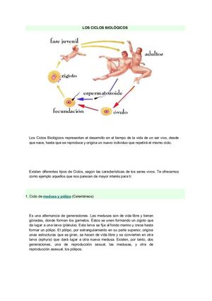 Los Ciclos Biológicos