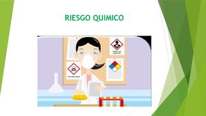 Riesgo Quimico Diapositivas Lina Exponer