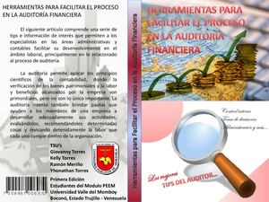 Herramientas Para Facilitar el Proceso en la Auditoría Financiera