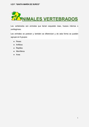 Clasificación De Los Vertebrados