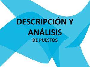 Descripción Y Análisis De Puestos