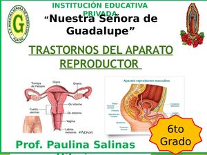 TRASTORNOS DEL APARATO REPRODUCTOR