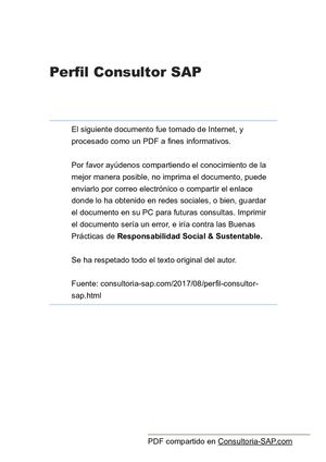 Perfil Consultor Sap