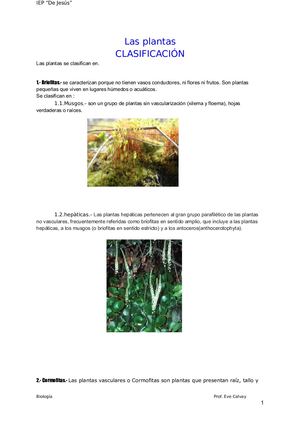 Las Plantas Clasificación