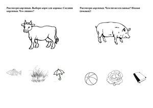 Домашние животные кто что ест