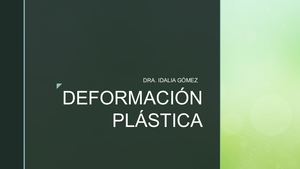 Deformación Plastica Ensayo De Tensión