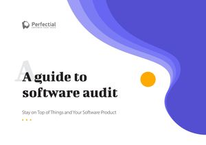 Definitive Guide To Software Audit