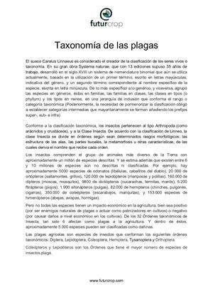 Taxonomía De Las Plagas