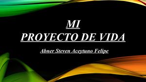 Abner Steven Aceytuno Felipe