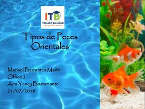 Peces Orientales