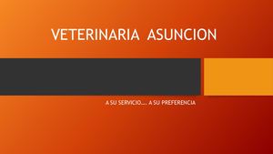 Veterinaria Asuncion