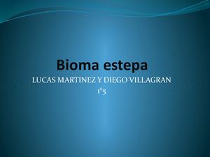 Bioma Estepa 2