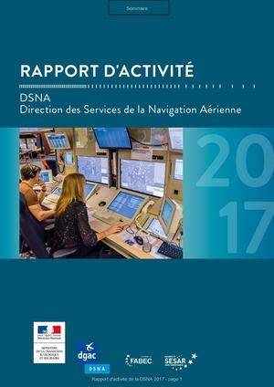 2017 Dsna Rapport D'activité
