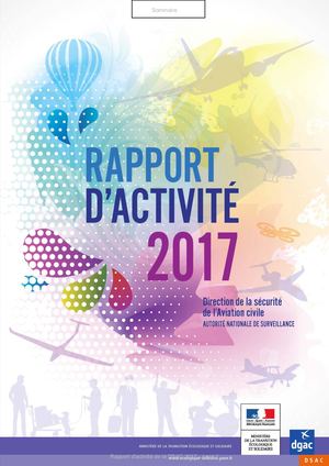 2017 Dsac Rapport D'activité